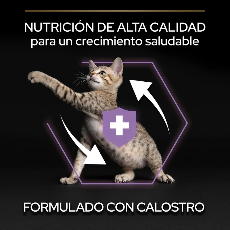Pro Plan Cat Kitten Start Pollo Pienso para Gatitos