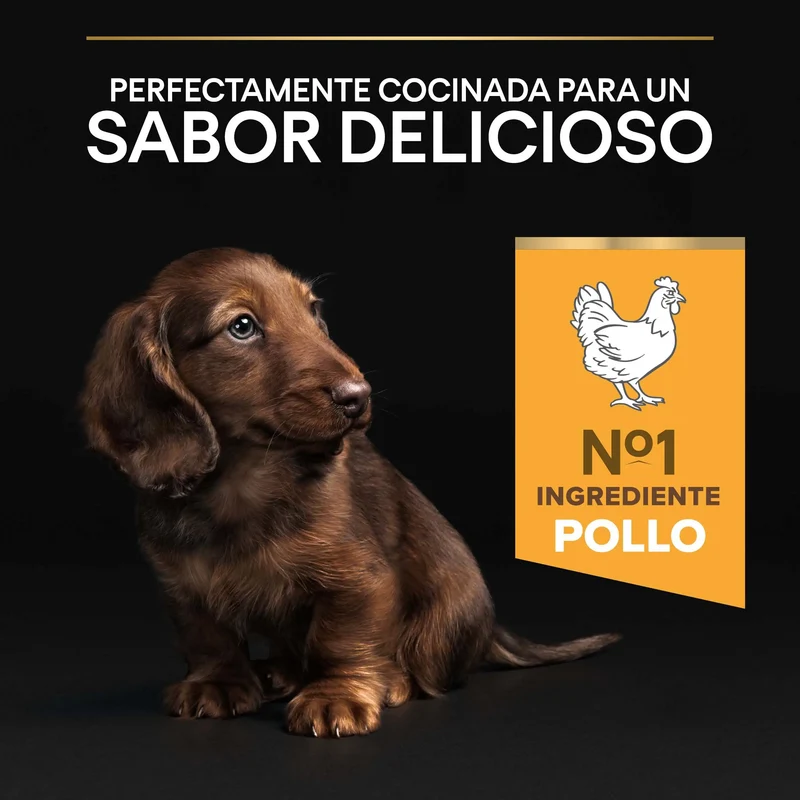 Pro Plan Dog Puppy Small & Mini Healthy Start Pollo Pienso para Cachorros