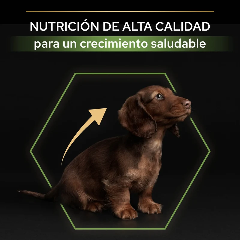 Pro Plan Dog Puppy Small & Mini Healthy Start Pollo Pienso para Cachorros