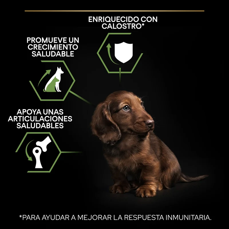 Pro Plan Dog Puppy Small & Mini Healthy Start Pollo Pienso para Cachorros