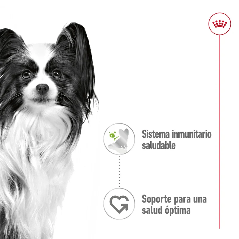 Royal Canin X-Small Adulto 85 g Comida Húmeda para Perros