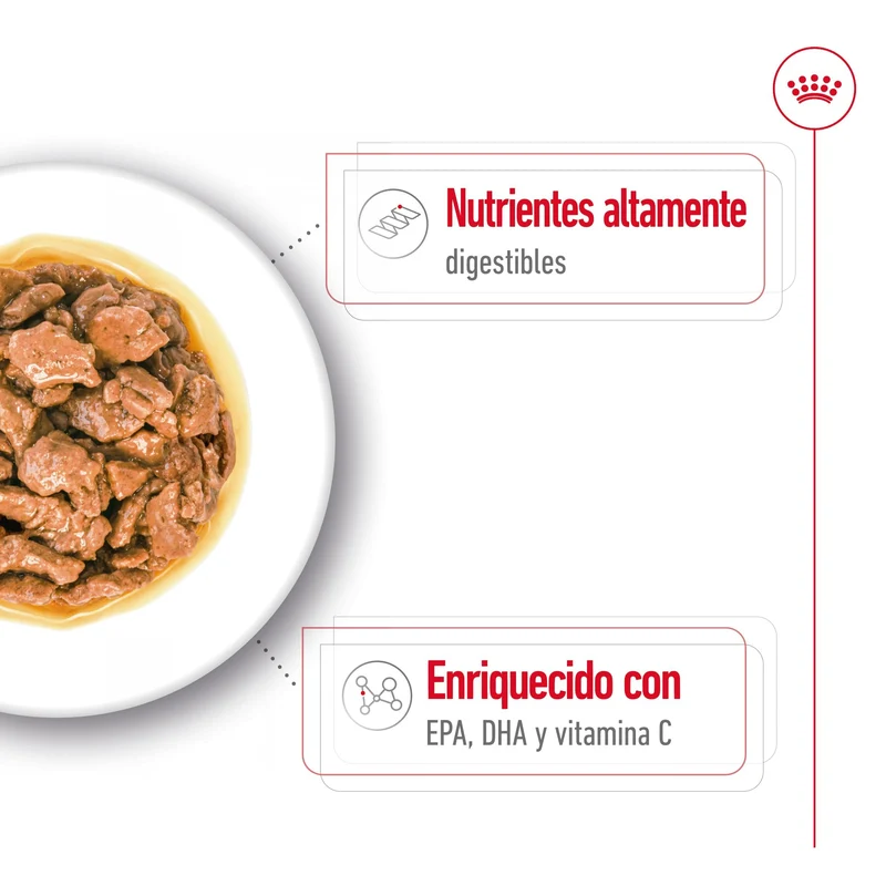 Royal Canin X-Small Adulto 85 g Comida Húmeda para Perros