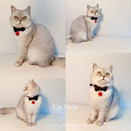 Collar de piel sintética con lazo para gato, con campana, gato, gato, ajustable, de seguridad
