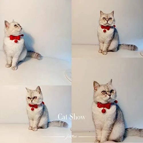 Collar de piel sintética con lazo para gato, con campana, gato, gato, ajustable, de seguridad