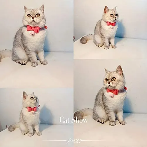 Collar de piel sintética con lazo para gato, con campana, gato, gato, ajustable, de seguridad