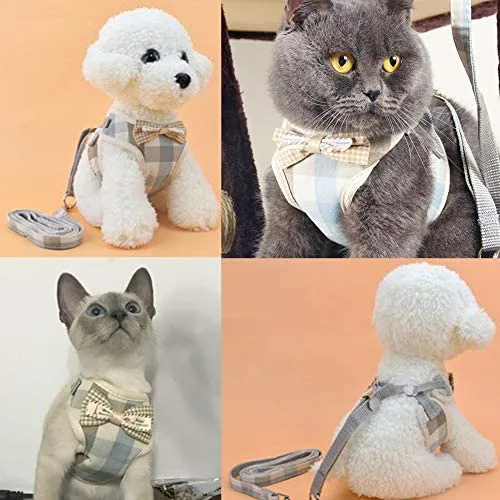 WANONEE - Arnés para gato, chaleco de cuerda con correa, cómodo, ajustable, fácil de poner y quitar, chamarra para gato con lazos para cachorro de animales pequeños