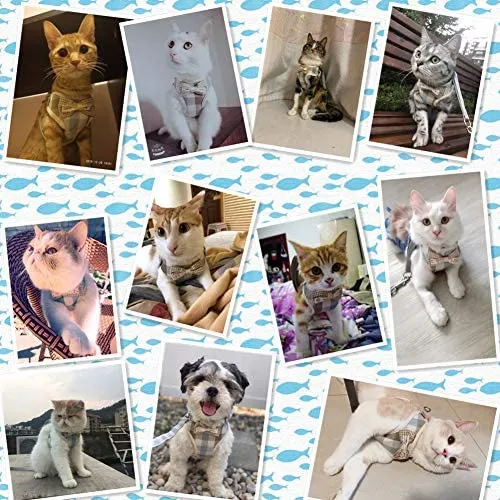 WANONEE - Arnés para gato, chaleco de cuerda con correa, cómodo, ajustable, fácil de poner y quitar, chamarra para gato con lazos para cachorro de animales pequeños