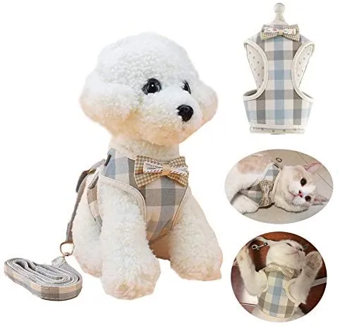 WANONEE - Arnés para gato, chaleco de cuerda con correa, cómodo, ajustable, fácil de poner y quitar, chamarra para gato con lazos para cachorro de animales pequeños