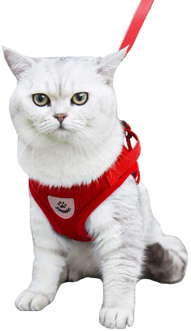 YujueShop - Arnés para gato y correa para mascota, arnés para perros pequeños, a prueba de escape, reflectante, ajustable, malla suave con correa para mascotas, para gatos, cachorros, mascotas