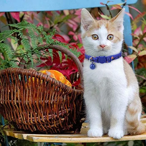 BoomBone Cat Collar Breakaway with Bell,Safe Puppy Collars for Thanksgiving