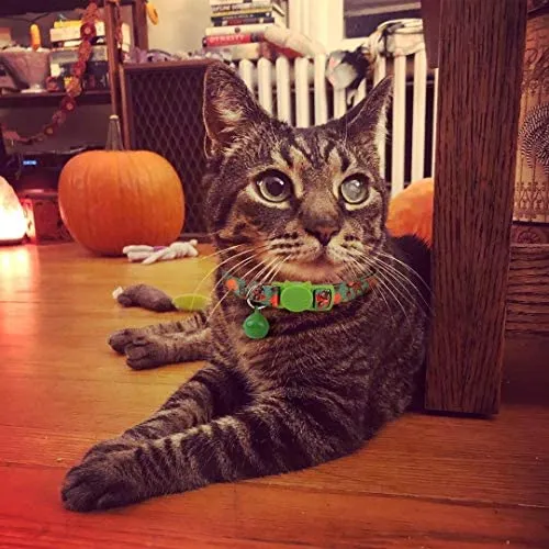 BoomBone Cat Collar Breakaway with Bell,Safe Puppy Collars for Thanksgiving
