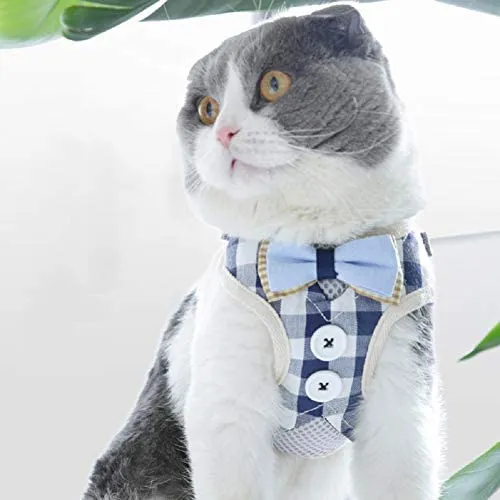 Dorlotou - Arnés de tracción para gatos y cachorros pequeños