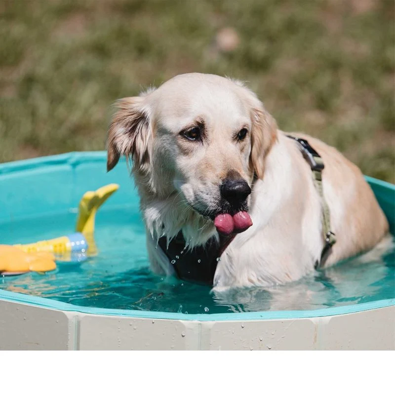 FREEDOG PISCINA PARA PERROS ANTIDESLIZANTE