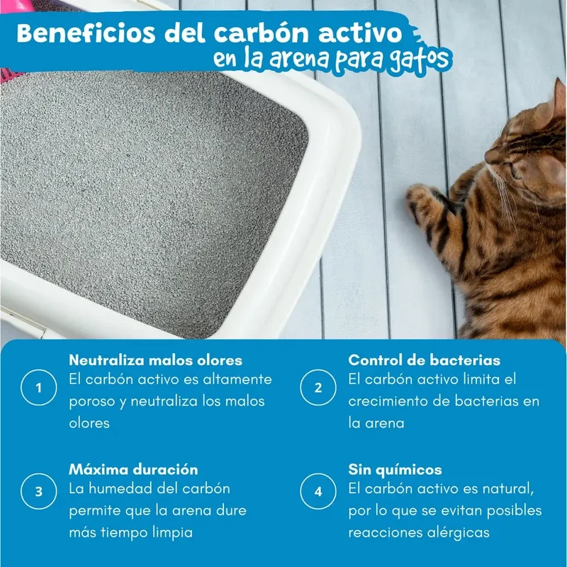 Arena Aglomerante para Gatos Efecto Carbón Activo Catter Litter