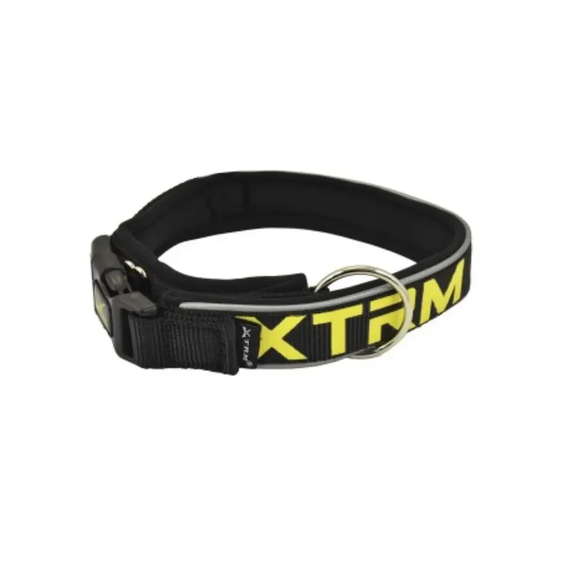 Collar X-Trm Neon Flash