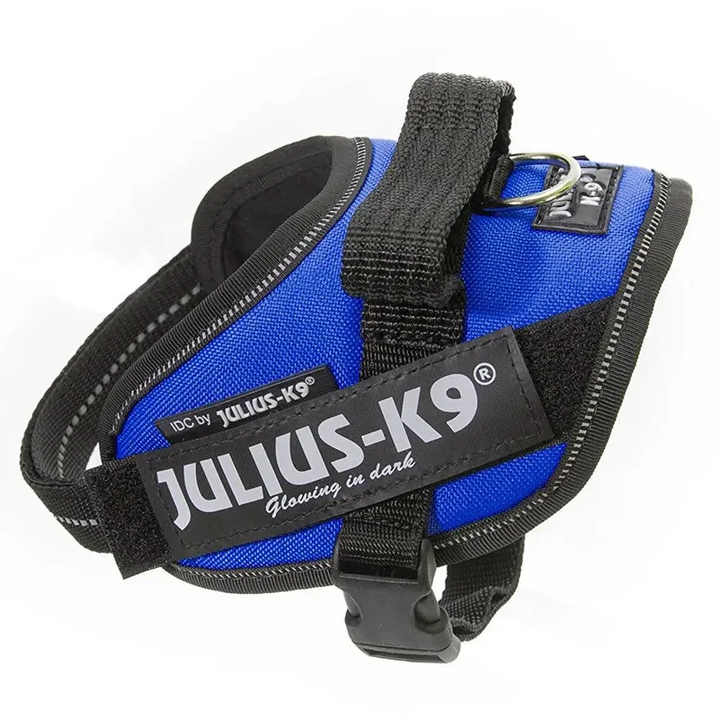 Arnes Idc Julius-K9