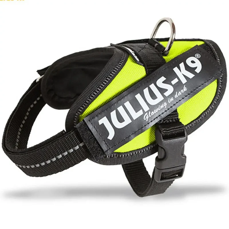 Arnes Idc Julius-K9