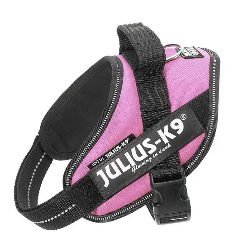 Arnes Idc Julius-K9