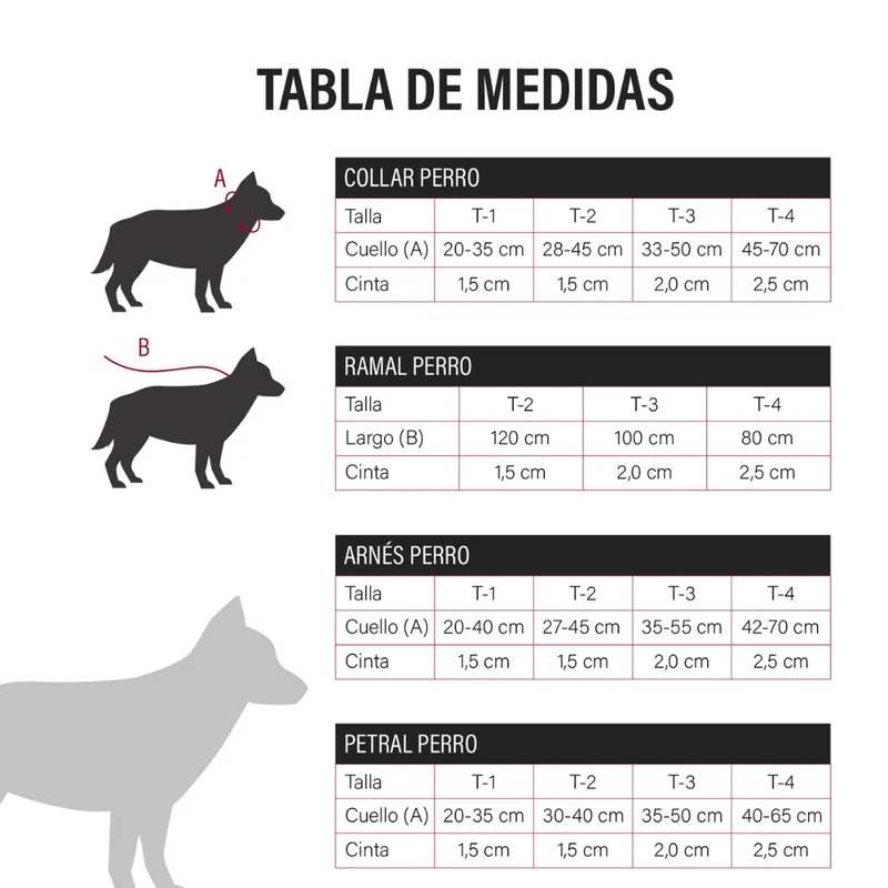 BULL ARNES PERRO NYLON COLECCION PAWS LIFE