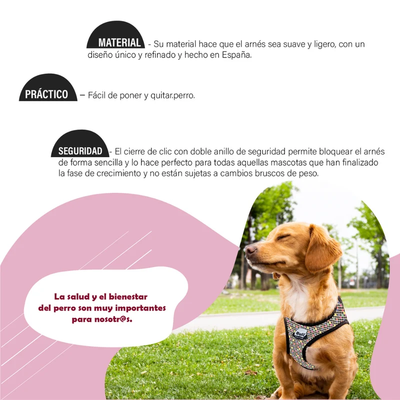 BULL ARNES NYLON COLECCION PET LOVER