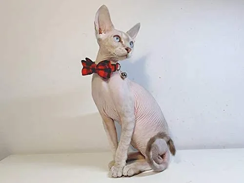Collar de gato con lazo y campana para gato, ajustable, para mascotas y gatos.