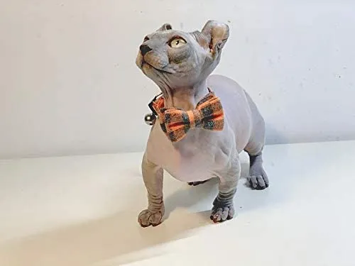 Collar de gato con lazo y campana para gato, ajustable, para mascotas y gatos.