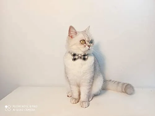 Collar de gato con lazo y campana para gato, ajustable, para mascotas y gatos.