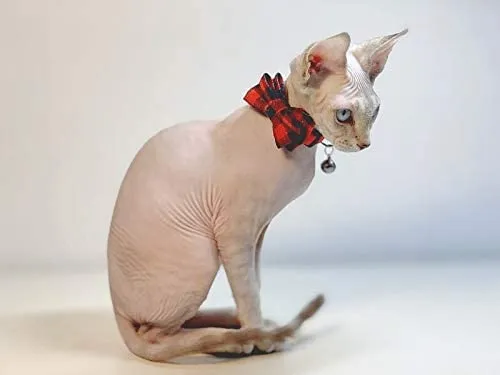 Collar de gato con lazo y campana para gato, ajustable, para mascotas y gatos.