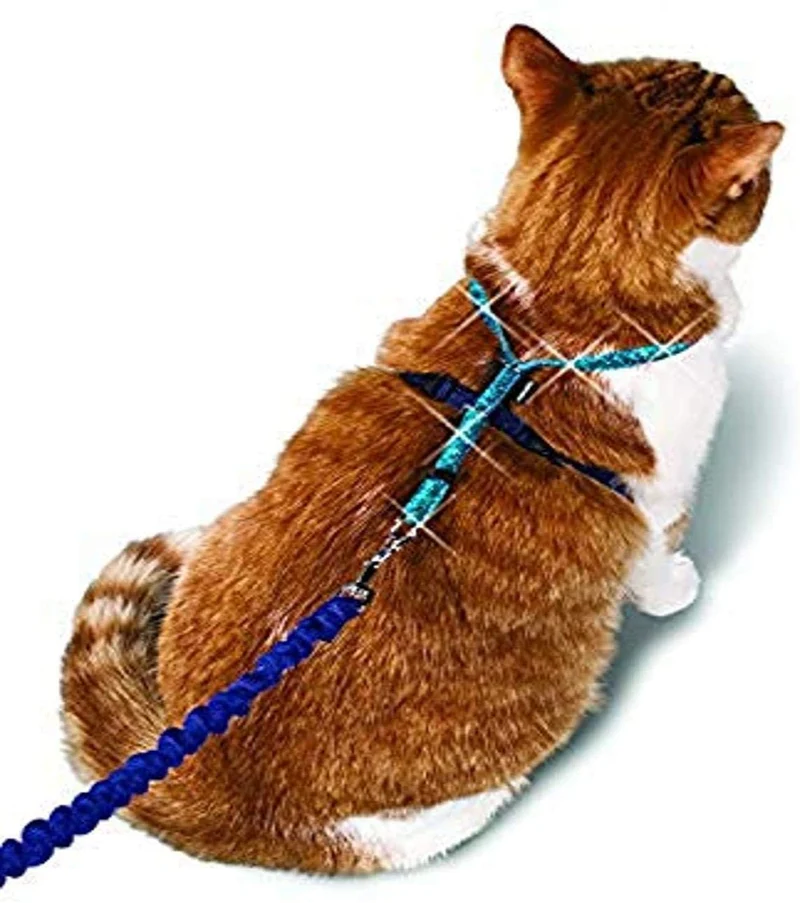 PetSafe Come With Me Kitty – Arnés y Bungee Correa, Sparkle Azul