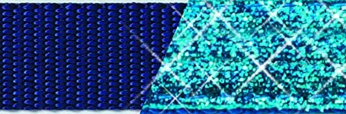 PetSafe Come With Me Kitty – Arnés y Bungee Correa, Sparkle Azul