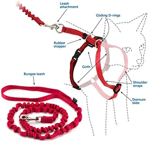 PetSafe Come With Me Kitty – Arnés y Bungee Correa, Sparkle Azul