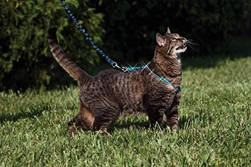 PetSafe Come With Me Kitty – Arnés y Bungee Correa, Sparkle Azul