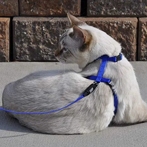 Coastal Pet Adjustable Figure H Cat Harness | Girth Size: 10" to 18" | One Size Fits Most