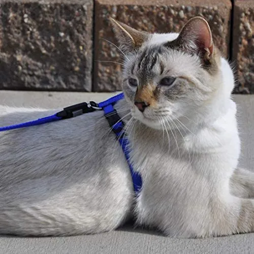 Coastal Pet Adjustable Figure H Cat Harness | Girth Size: 10" to 18" | One Size Fits Most