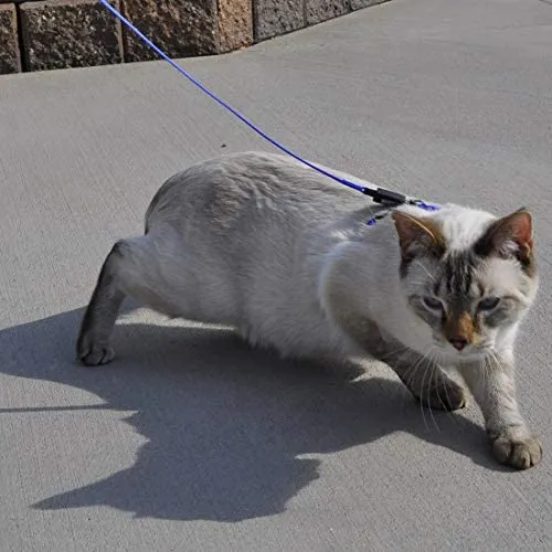 Coastal Pet Adjustable Figure H Cat Harness | Girth Size: 10" to 18" | One Size Fits Most