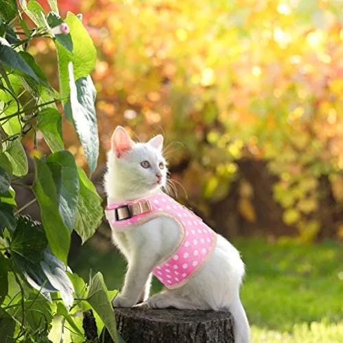Arnés de gato PUPTECK con correa a prueba de escape, arnés ajustable de malla suave, chaleco cómodo para gatos, cachorros con patrón de puntos