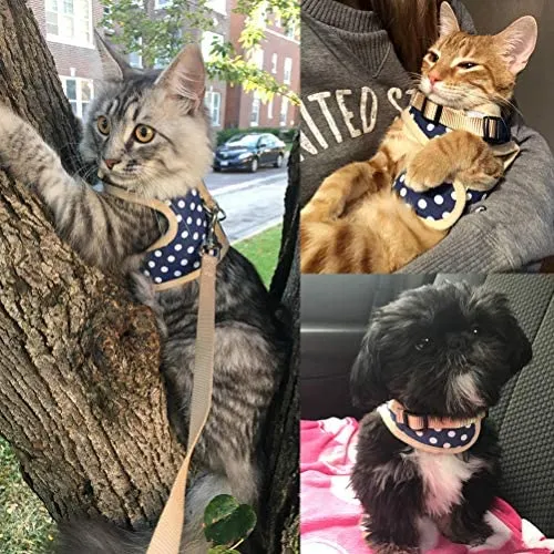 Arnés de gato PUPTECK con correa a prueba de escape, arnés ajustable de malla suave, chaleco cómodo para gatos, cachorros con patrón de puntos