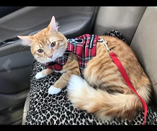 SCIROKKO - Arnés y correa para gato, a prueba de escape, ajustable, para caminar al aire libre con hebilla de seguridad, a cuadros