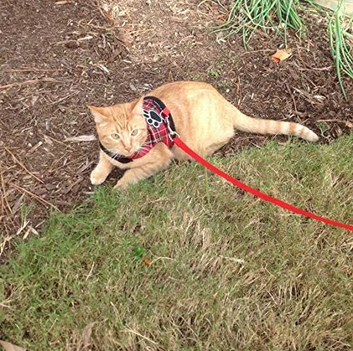 SCIROKKO - Arnés y correa para gato, a prueba de escape, ajustable, para caminar al aire libre con hebilla de seguridad, a cuadros