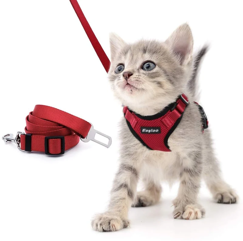 Eagloo - Juego de arnés y correa para gato, a prueba de escape, con correa 2 en 1 y cinturón de seguridad para coche, arnés ajustable para gatos, chaleco de malla suave con correa reflectante para gatito, conejo, cachorro