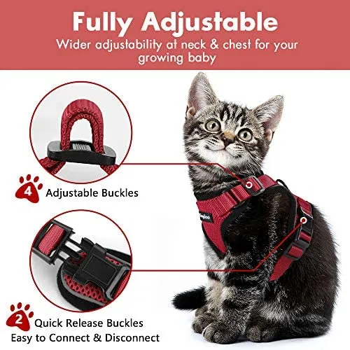 Eagloo - Juego de arnés y correa para gato, a prueba de escape, con correa 2 en 1 y cinturón de seguridad para coche, arnés ajustable para gatos, chaleco de malla suave con correa reflectante para gatito, conejo, cachorro