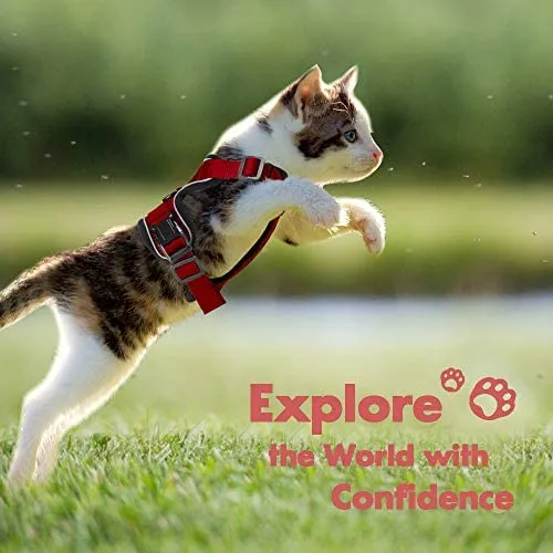 Eagloo - Juego de arnés y correa para gato, a prueba de escape, con correa 2 en 1 y cinturón de seguridad para coche, arnés ajustable para gatos, chaleco de malla suave con correa reflectante para gatito, conejo, cachorro