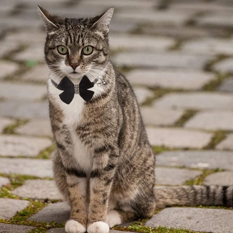 BINGPET Collar para gato con pajarita de campana, hebilla de seguridad ajustable, diamante de imitación de terciopelo, 2 unidades, rosa y negro