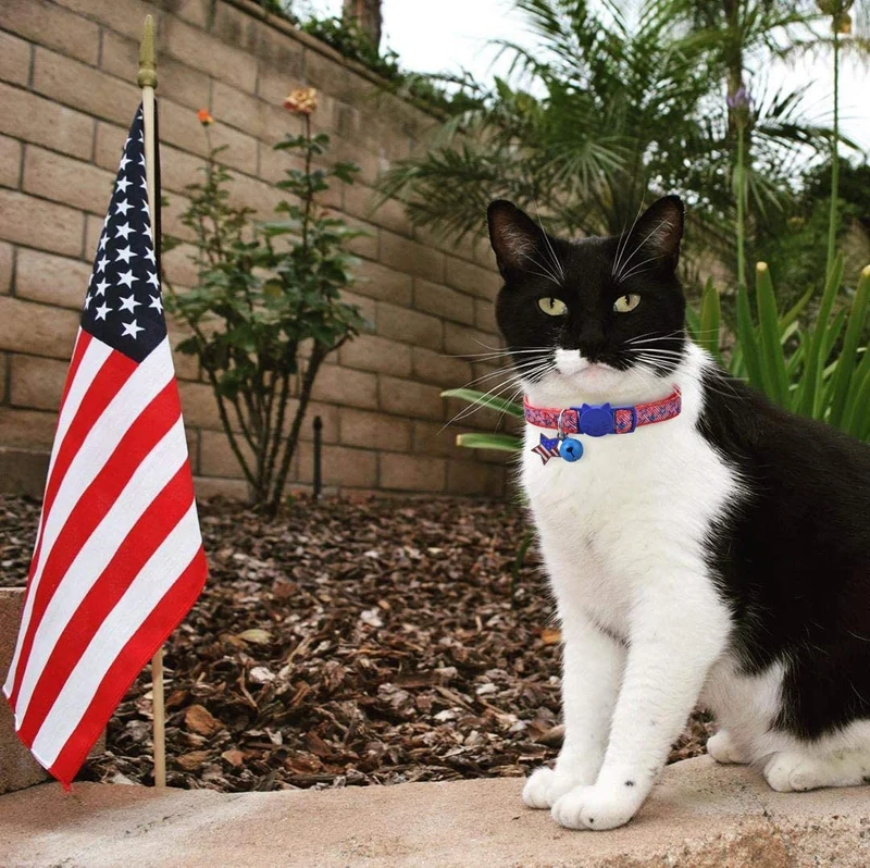 BoomBone Collar de gato patriótico con colgante de campana y bandera americana, collares para cachorros pequeños