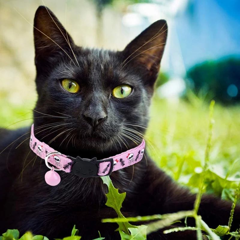BoomBone - Collar para gato, diseño de calavera, con campana, paquete de 2 collares seguros para cachorros de Halloween