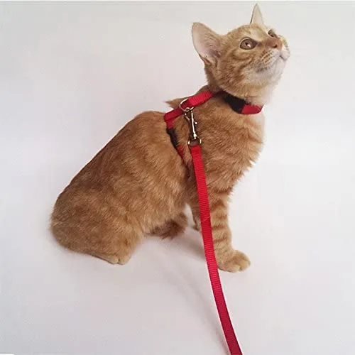 Gato Arnés y Correa Ajustable Cuello Nylon Azul, Rojo y 1 2 Pack perro One Size Fits All