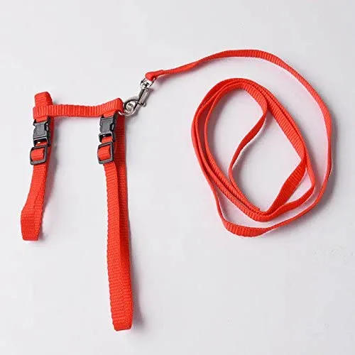 Gato Arnés y Correa Ajustable Cuello Nylon Azul, Rojo y 1 2 Pack perro One Size Fits All