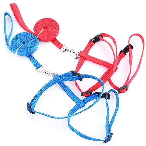 Gato Arnés y Correa Ajustable Cuello Nylon Azul, Rojo y 1 2 Pack perro One Size Fits All