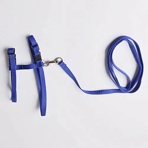 Gato Arnés y Correa Ajustable Cuello Nylon Azul, Rojo y 1 2 Pack perro One Size Fits All