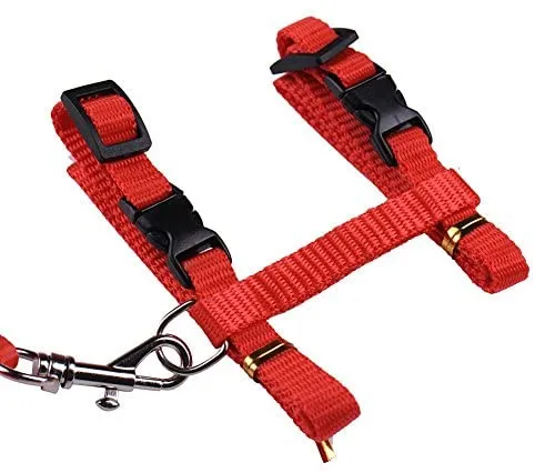 Gato Arnés y Correa Ajustable Cuello Nylon Azul, Rojo y 1 2 Pack perro One Size Fits All